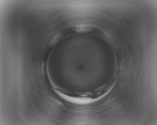 X0000060580219200511171706