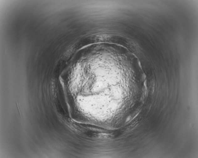 X0000060580222200511171706