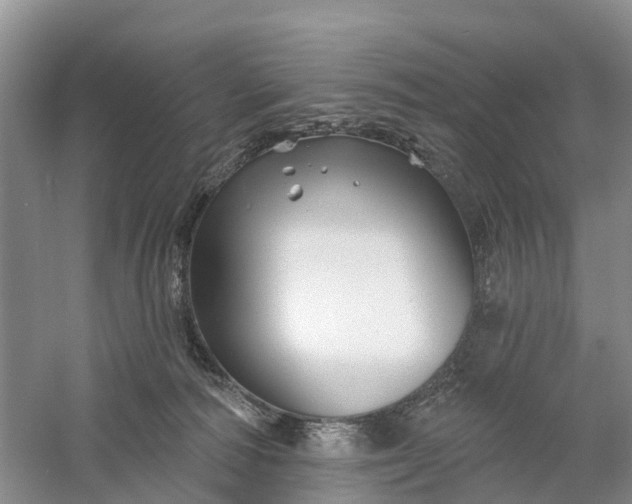 X0000060580226200511171706