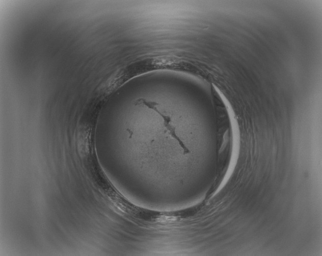 X0000060580227200511171706