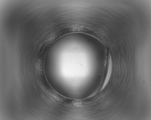 X0000060580228200511171706