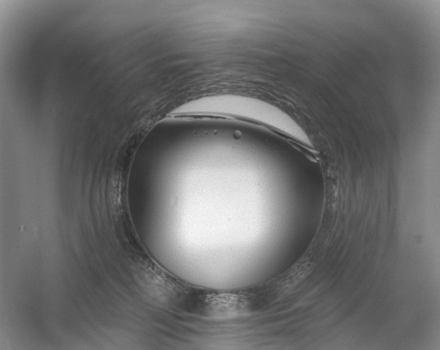 X0000060580230200511171706