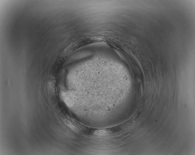 X0000060580231200511171706