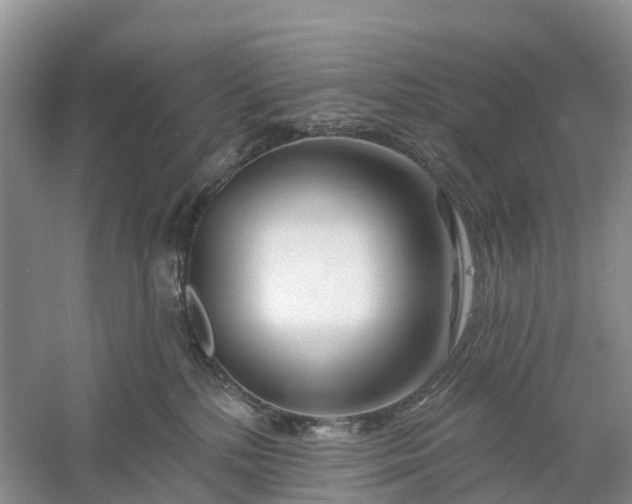 X0000060580232200511171706