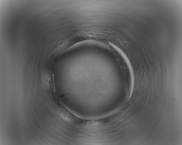 X0000060580235200511171705