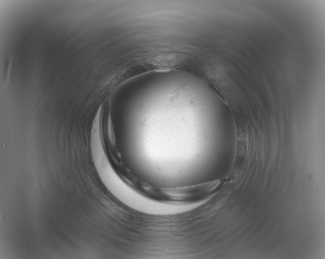 X0000060580237200511171705