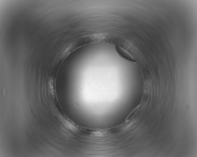 X0000060580238200511171705