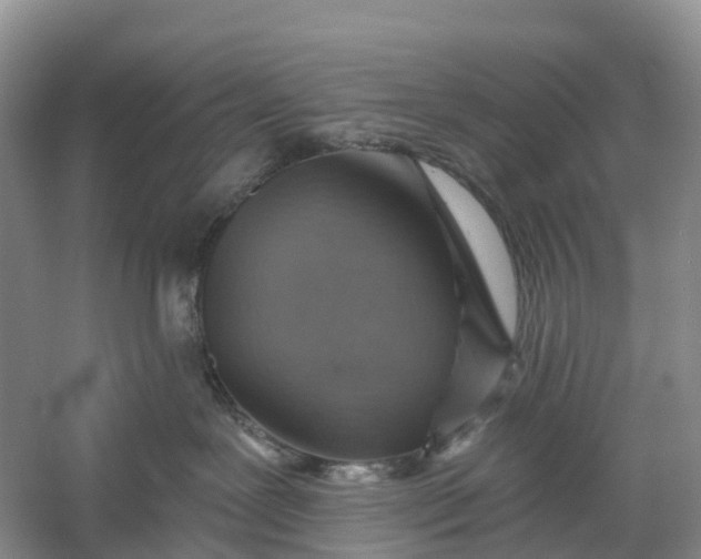 X0000060580239200511171705