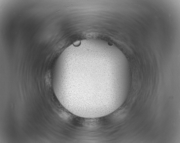 X0000060580240200511171705