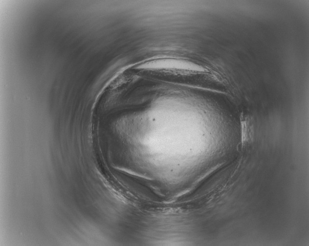 X0000060580243200511171705