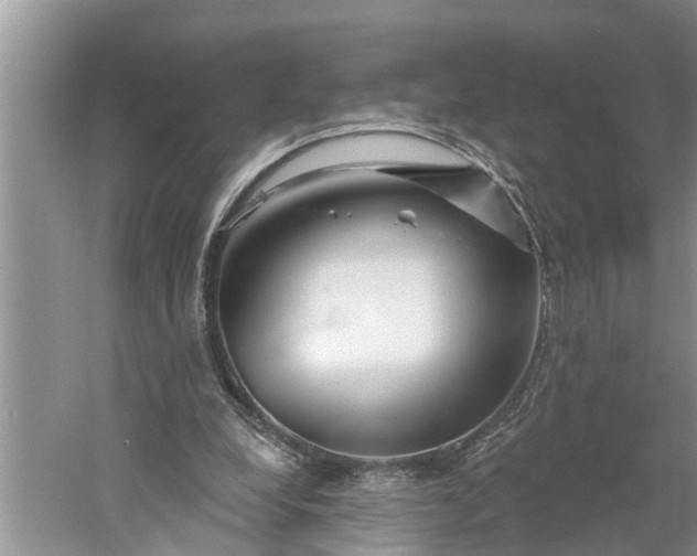 X0000060580248200511171705