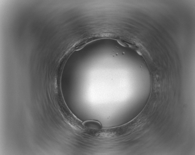 X0000060580251200511171705