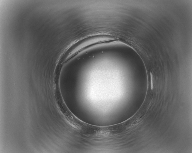 X0000060580252200511171705