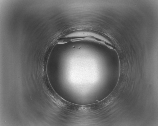 X0000060580261200511171705