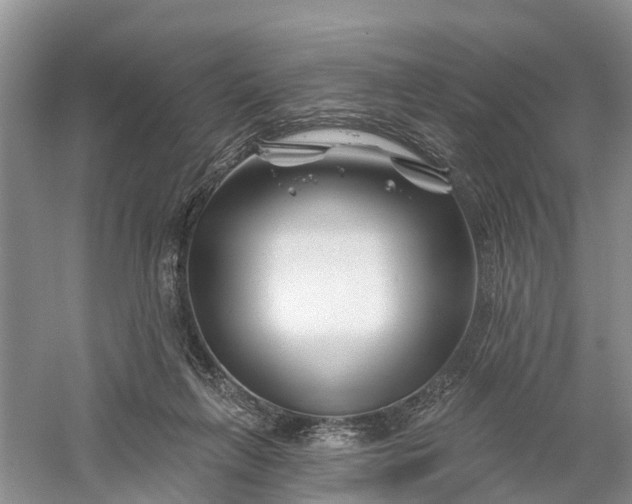 X0000060580263200511171705