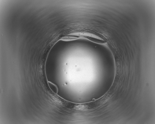 X0000060580269200511171705