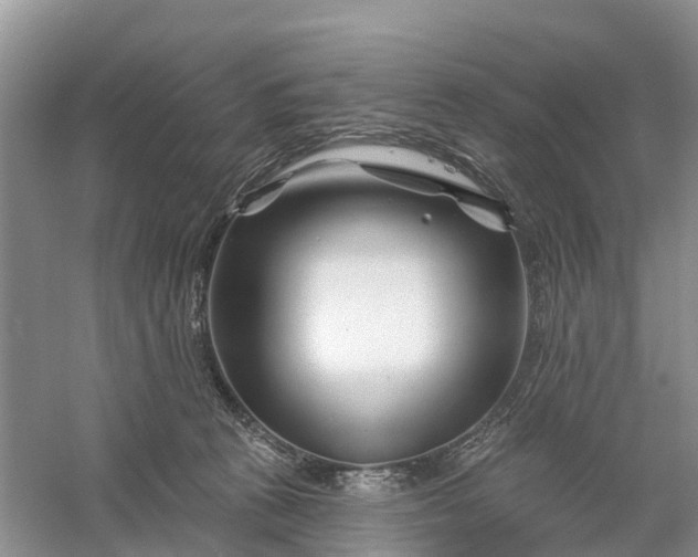 X0000060580273200511171705