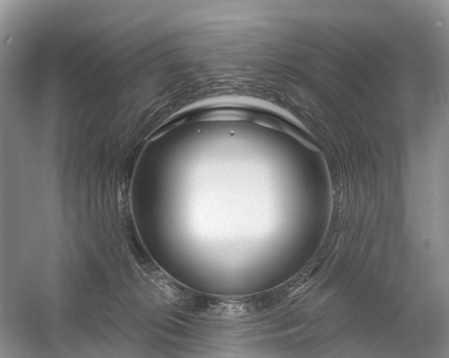 X0000060580276200511171705