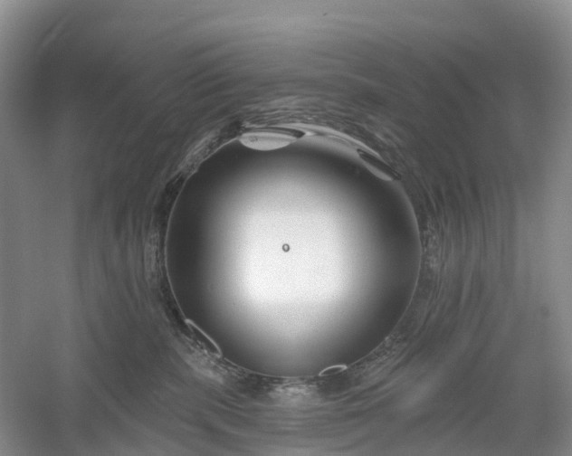 X0000060580283200511171705