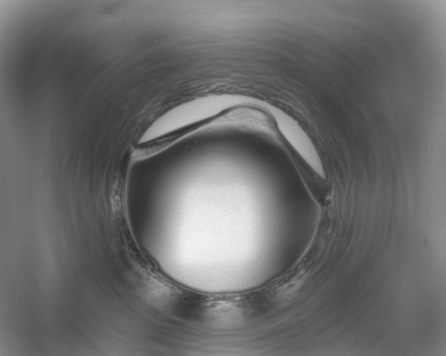 X0000060580285200511171705