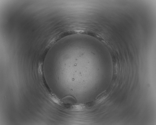 X0000060580286200511171705