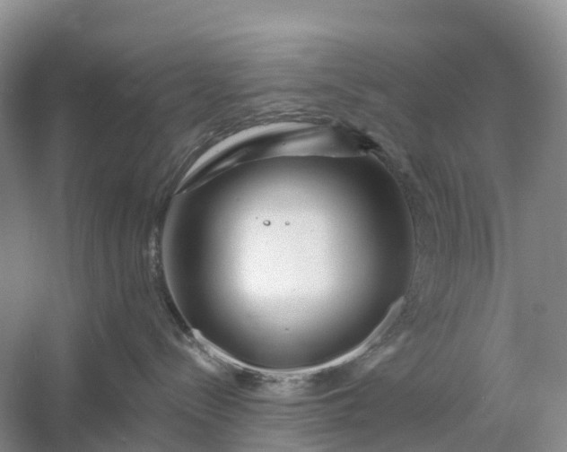 X0000060580288200511171705