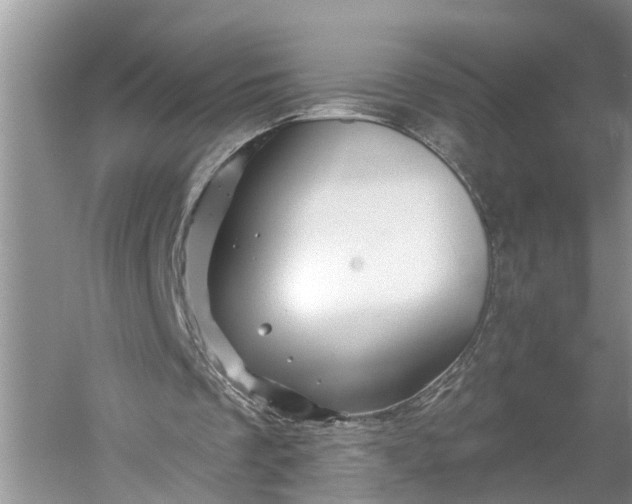 X0000060580289200511171705