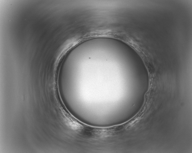 X0000060580293200511171704