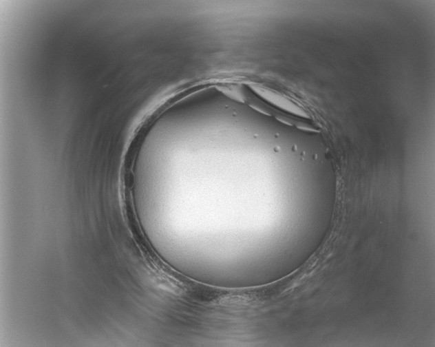 X0000060580294200511171704