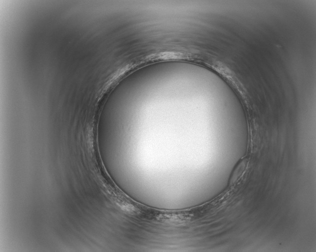 X0000060580297200511171704