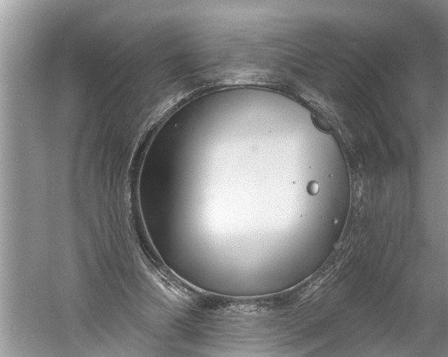 X0000060580298200511171704