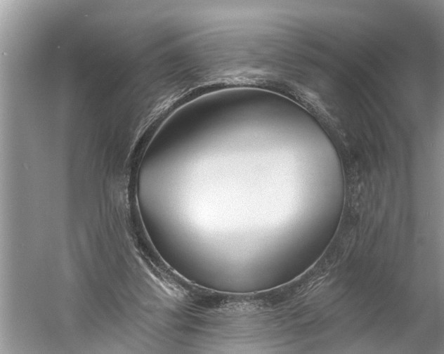 X0000060580299200511171704