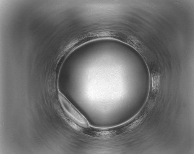 X0000060580301200511171704