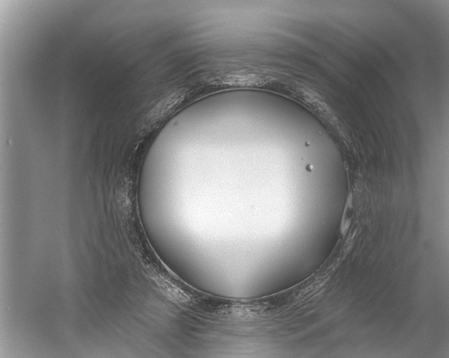 X0000060580305200511171704