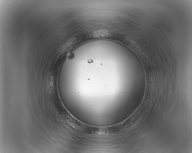 X0000060580308200511171704