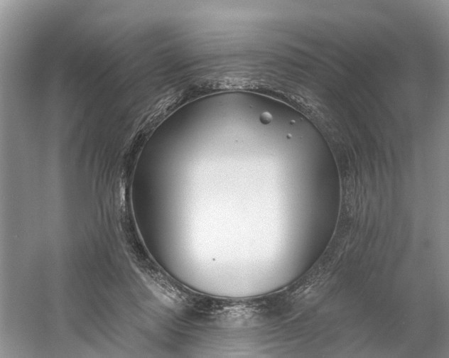 X0000060580310200511171704