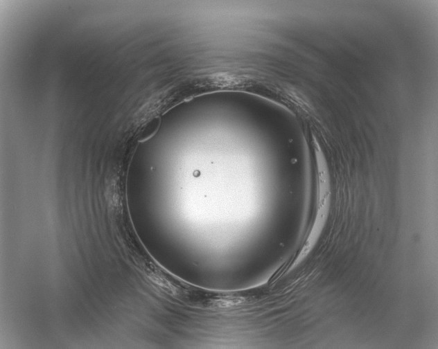 X0000060580317200511171704