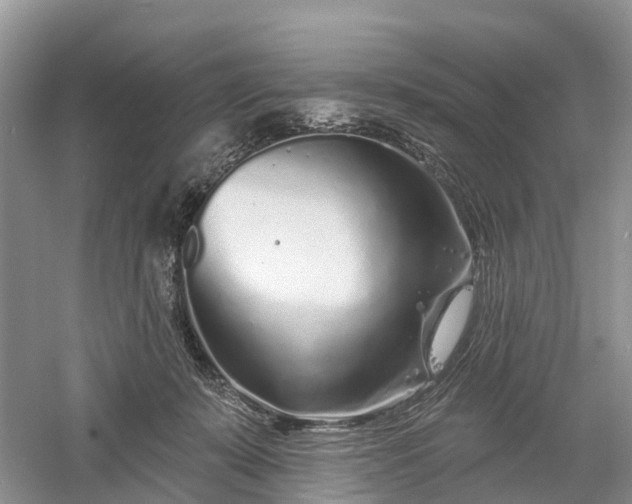 X0000060580319200511171704