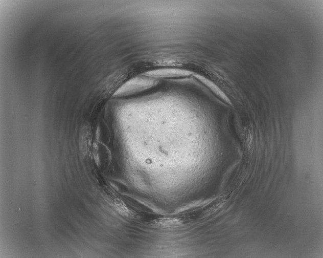 X0000060580322200511171704