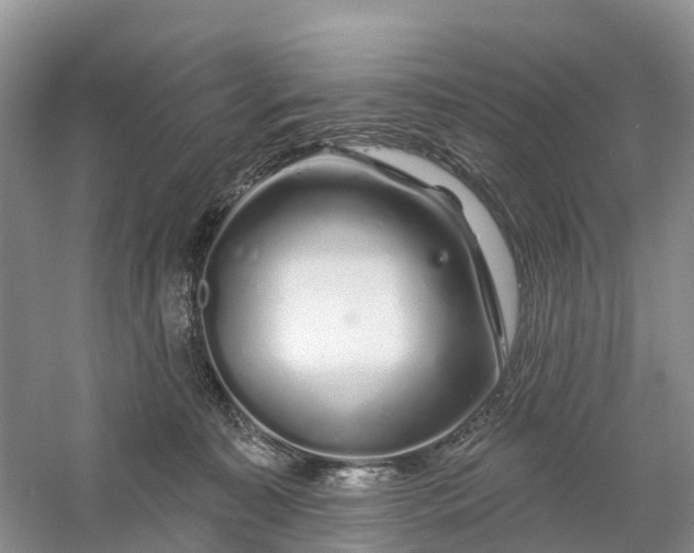 X0000060580323200511171704