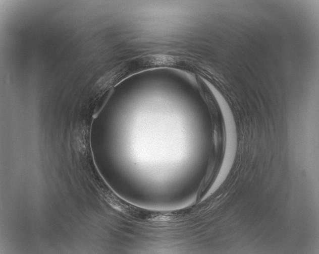 X0000060580325200511171704