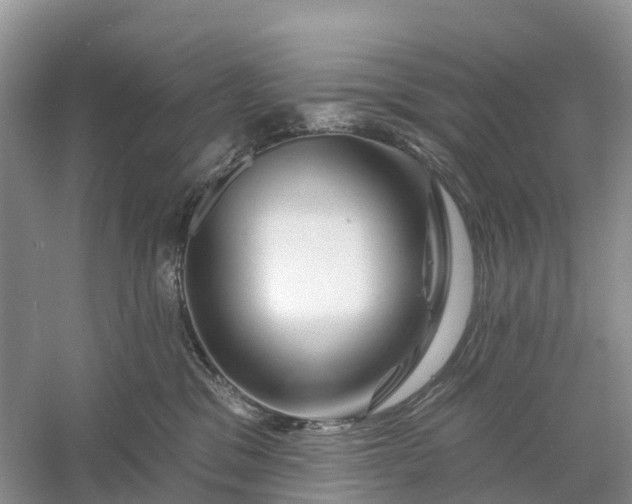 X0000060580329200511171704