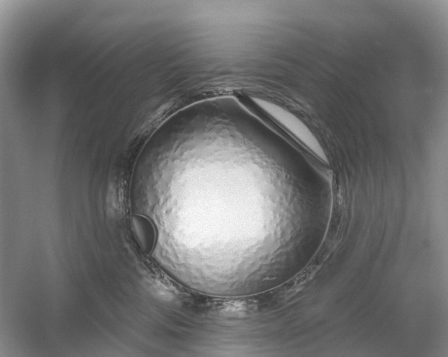 X0000060580330200511171704