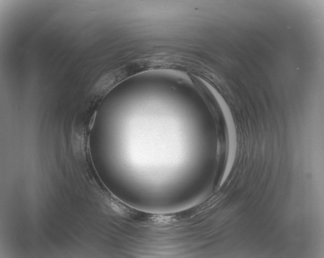 X0000060580333200511171704