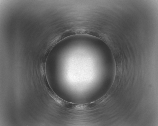 X0000060580335200511171704