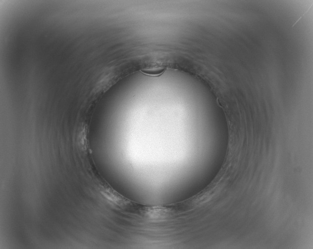 X0000060580336200511171704