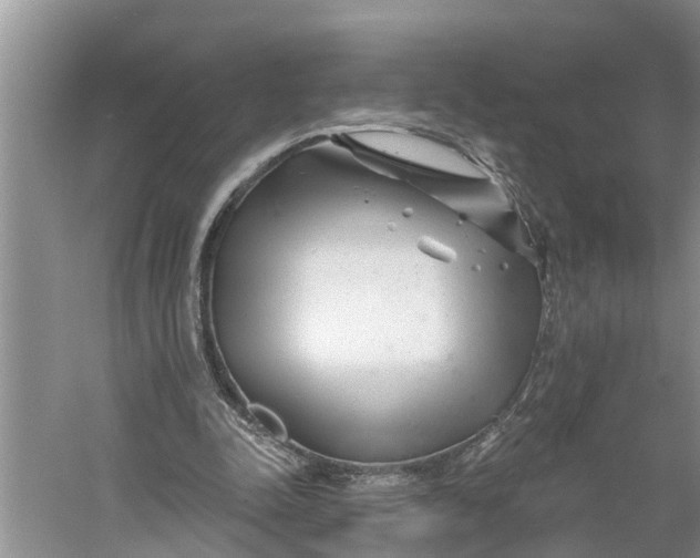 X0000060580342200511171703