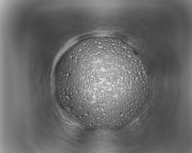 X0000060580343200511171703