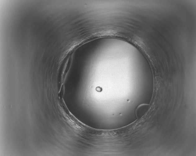 X0000060580345200511171703