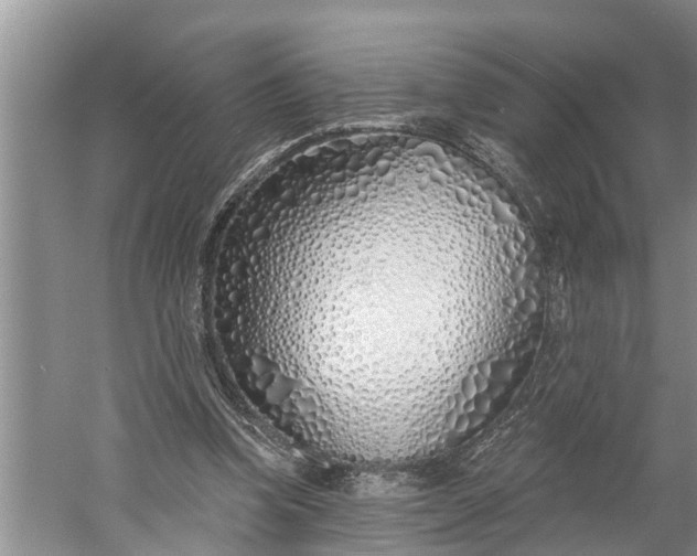 X0000060580346200511171703